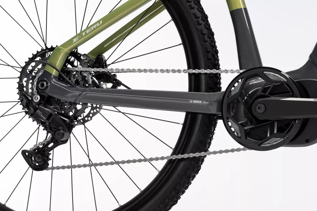 2026 GHOST E-Teru Electric Hardtail Mountain Bike In Black Eel & Cactus Glossy